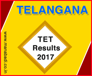 TS TET Results 2017