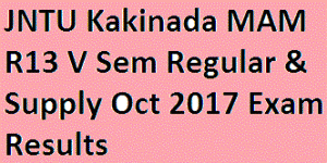 JNTU Kakinada MAM R13 V Sem Regular & Supply Oct 2017 Exam Results