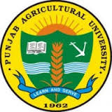 Punjab Agricultural University Recruitment 2016 – JRF Economics in Ludhiana – Pay Scale : Rs.25000/-